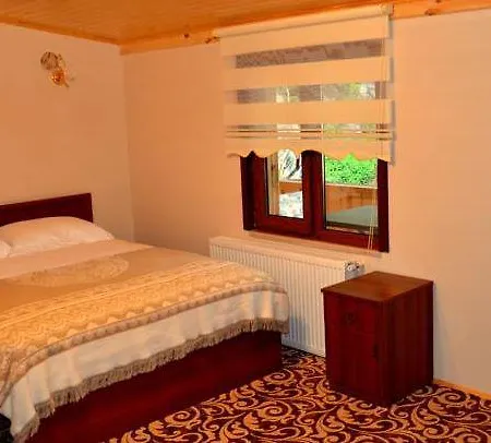 Doga Hotel 3*